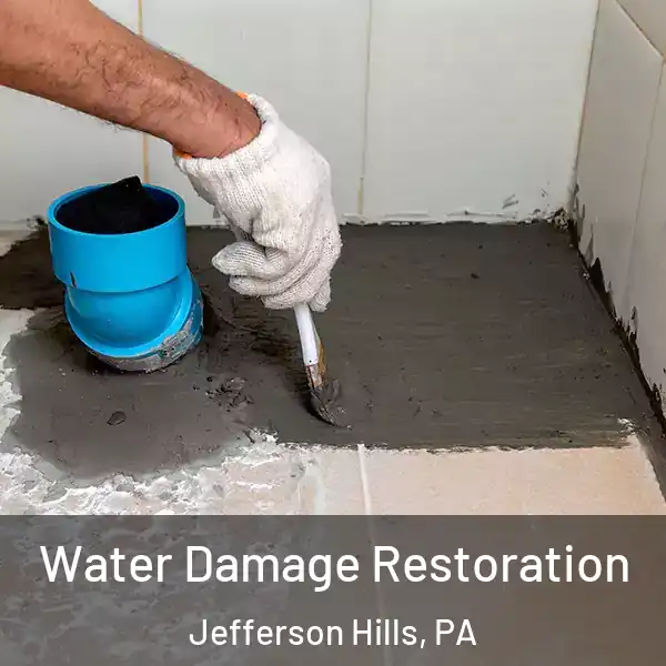  Water Damage Restoration Jefferson Hills, PA