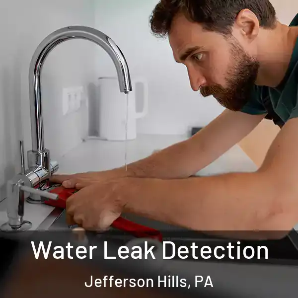  Water Leak Detection Jefferson Hills, PA